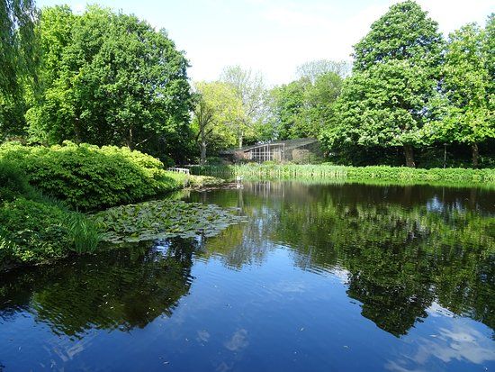 het Broersepark