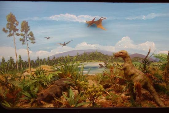 Geological Museum Hofland