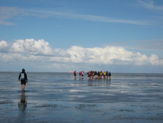 The Wadden Sea