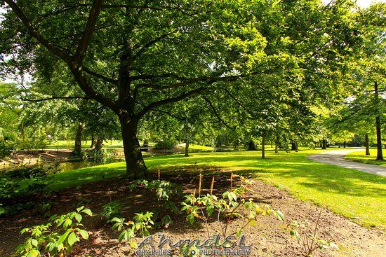 Het Park