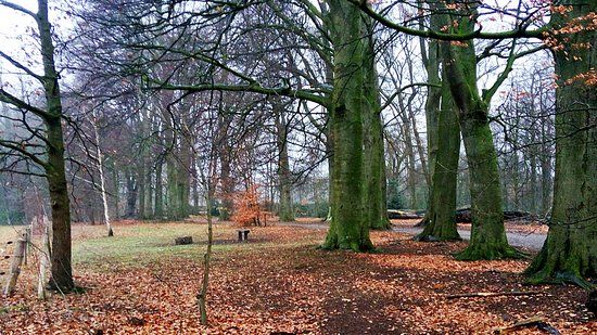 Park schothorst