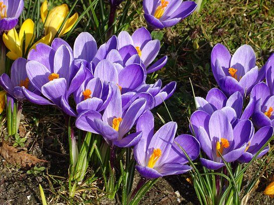 het Noorderplantsoen