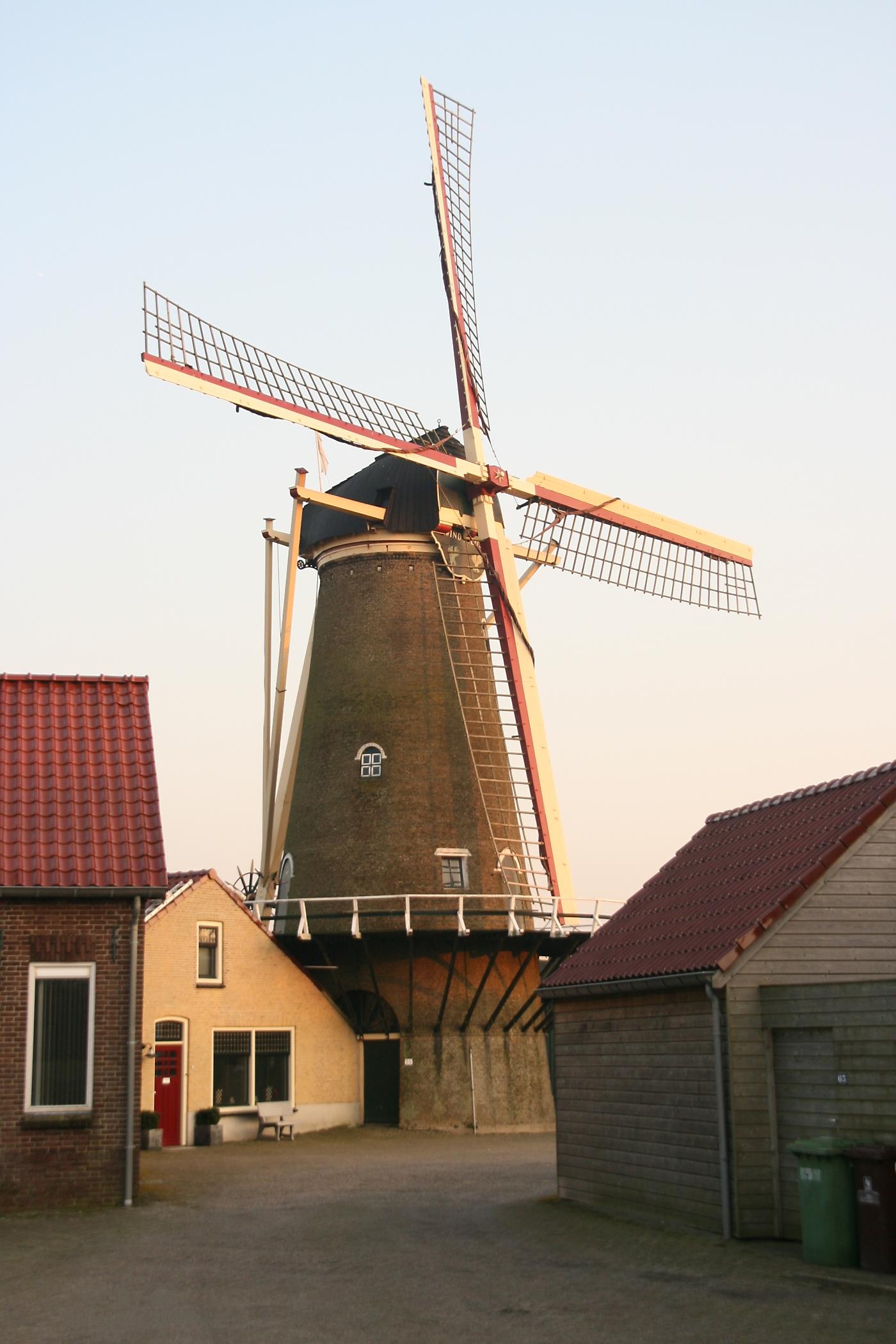 Windlust
