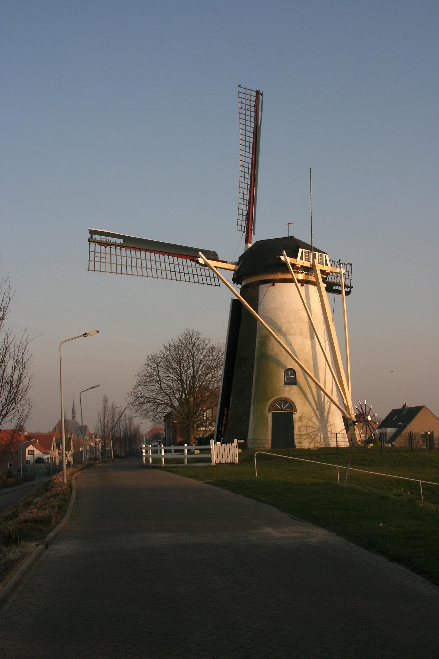 De Korenbloem