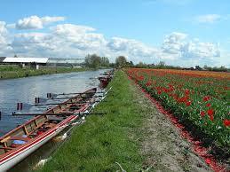 Trekvaart Haarlem-Leiden