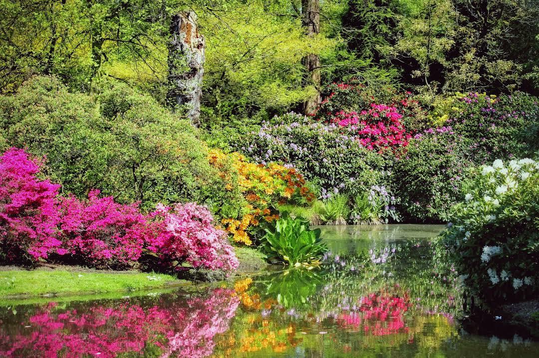 de Trompenburg Tuinen & Arboretum