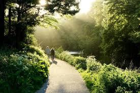 Scheveningen Woods