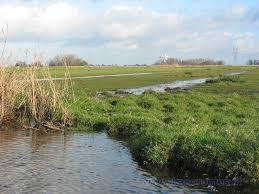het Ilperveld