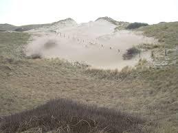 Noordhollands Duinreservaat