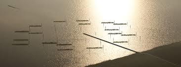 Pier en Horizon