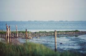 Grevelingenmeer