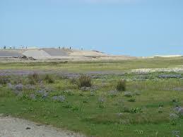 der Verdronken Zwarte Polder