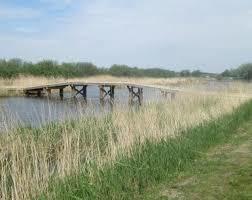 Groese Polders