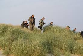 Duinen van Meeuw