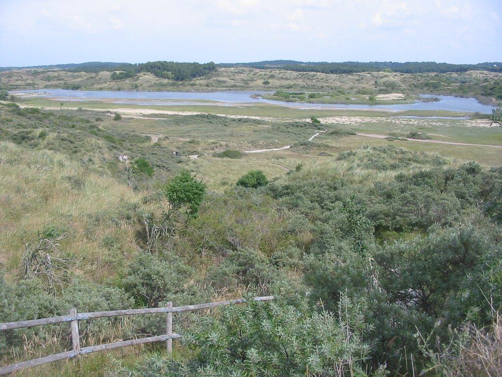 Duinmeer