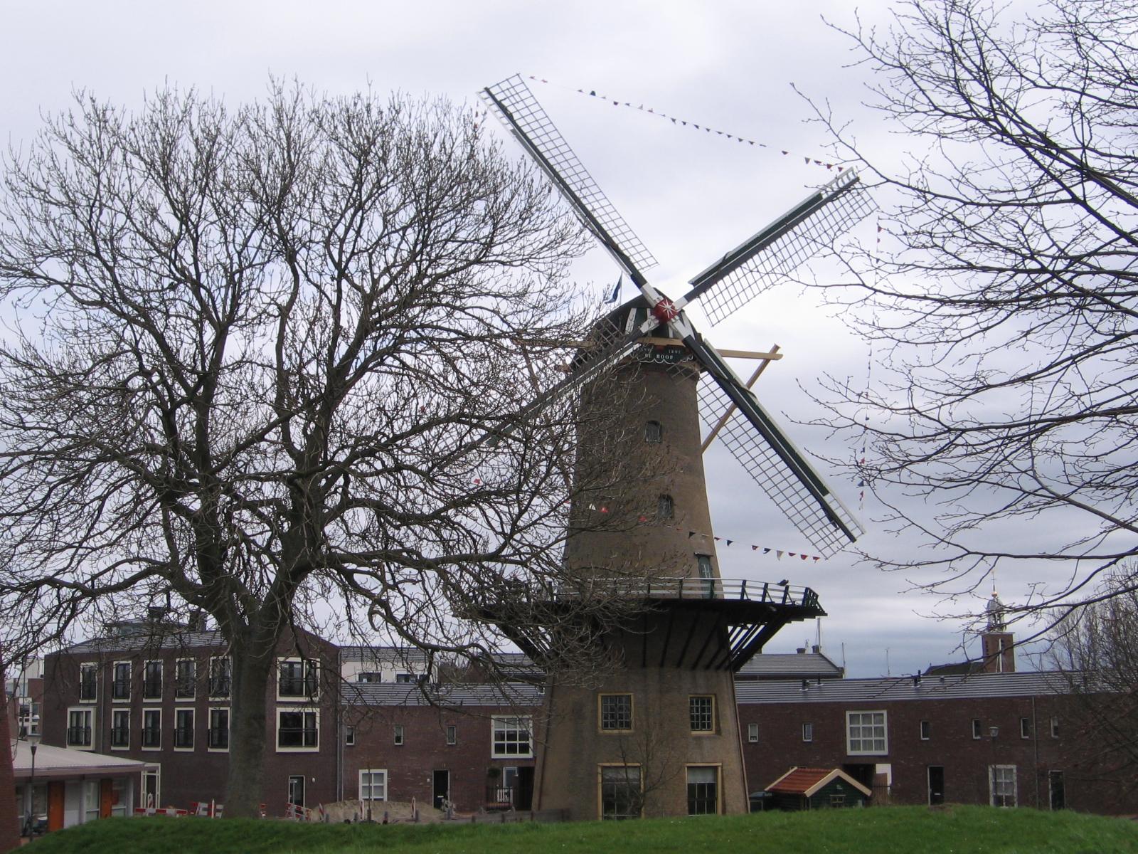 De Hoop