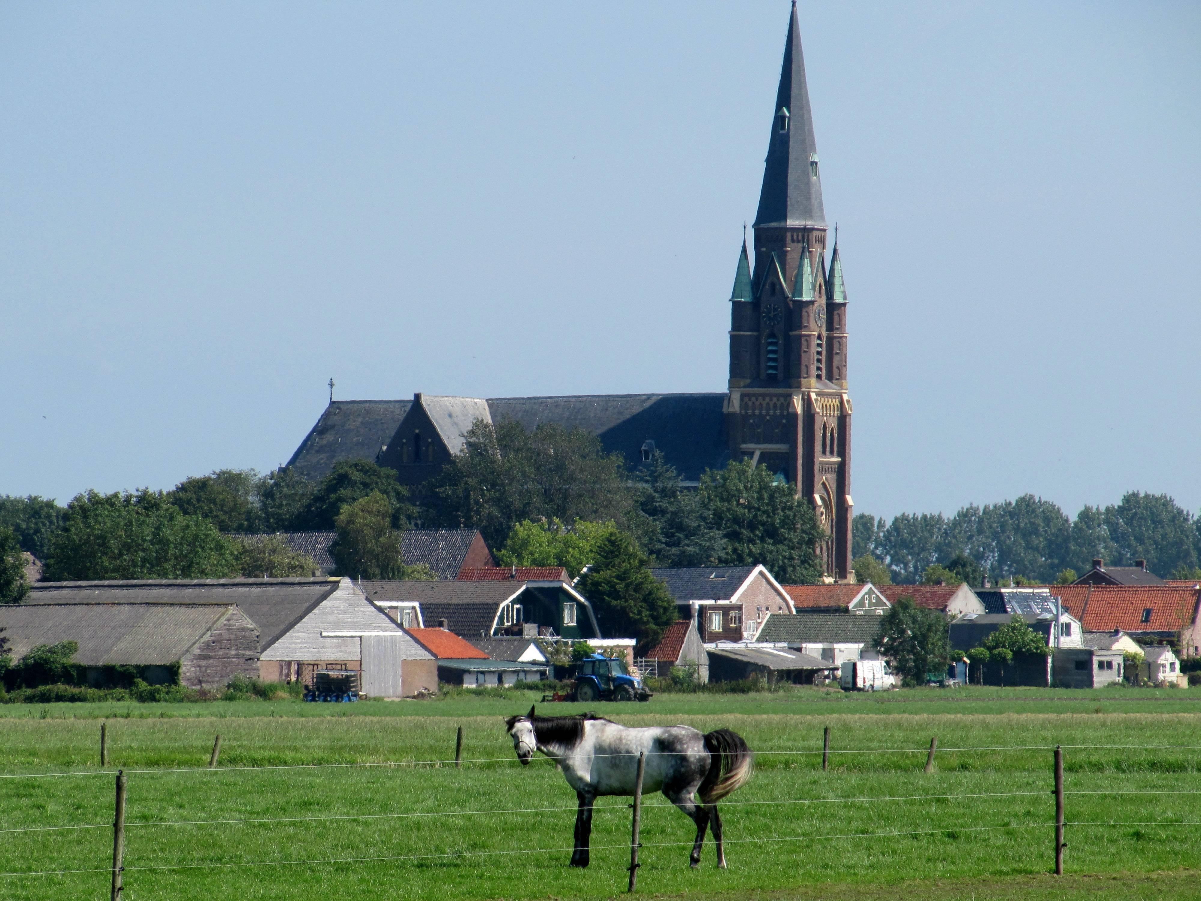 Sint Werenfriduskerk