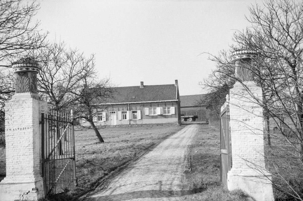 Zwaantjeshof