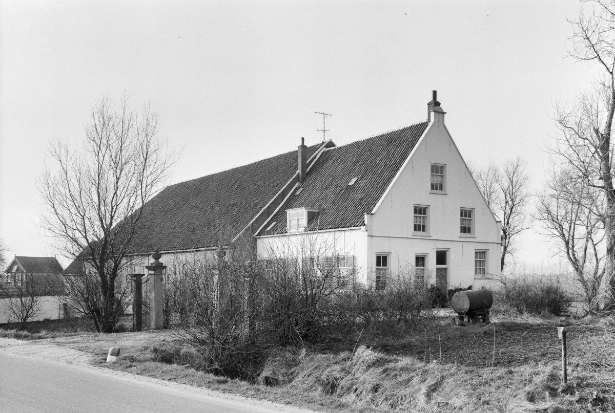 Zeldenrust
