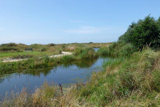 Golfbaan De Texelse