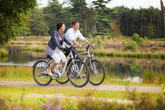 Dutch Pedelec Tours