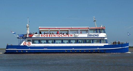 De Zeehond - Seal Boat Tour