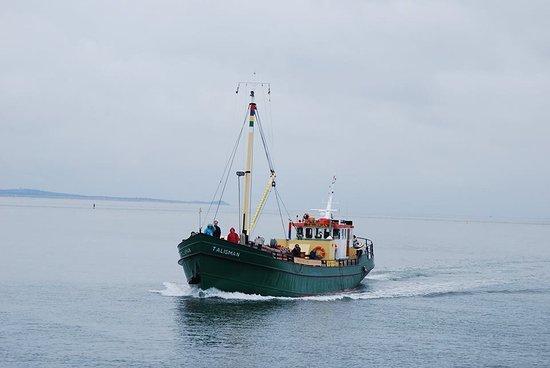 Talisman zeehondentocht Terschelling