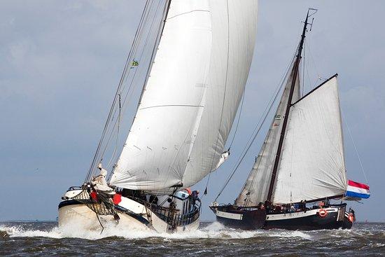 Historische Zeilvaart Harlingen