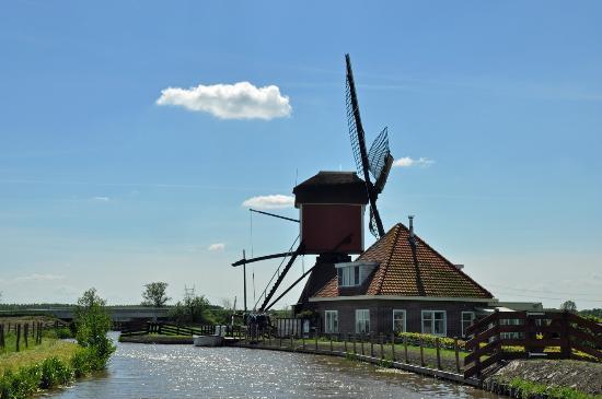 Marina Rijnsburg