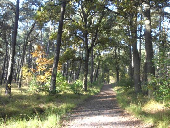 Wandelroute Mier