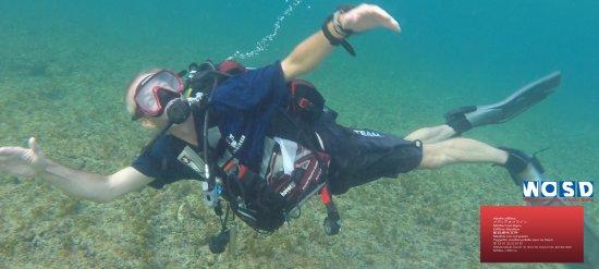 Everybody can Dive