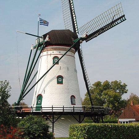 Molen 'De Korenbloem'