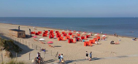 Longfield Beach Rentals
