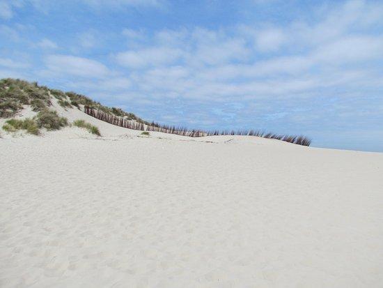 Dunes of Texel National Park