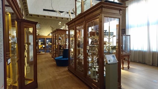 het Universiteitsmuseum Groningen