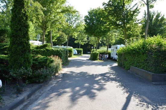 Delftse Hout