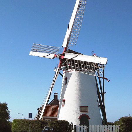 de Stavenisser Molen