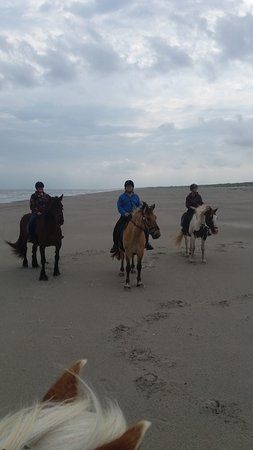 rijstal Le Cheval