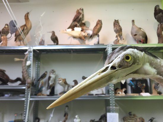 het Natuurmuseum Fryslân