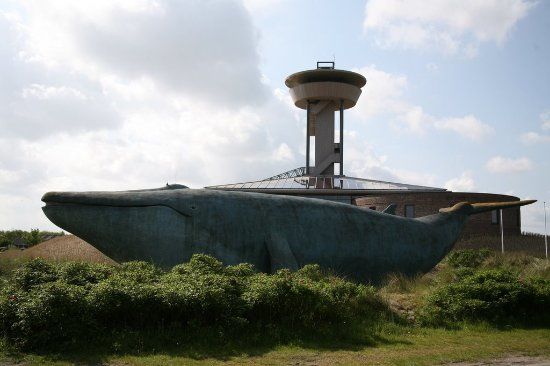 het Natuurcentrum Ameland