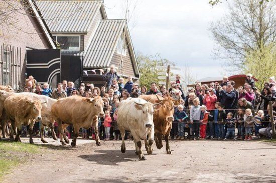 De Eemlandhoeve