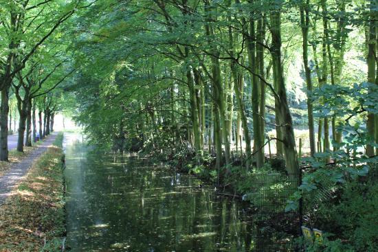 Rijswijkse Bos