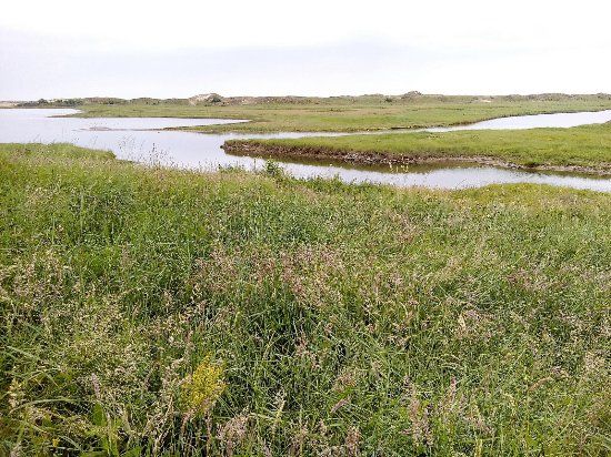 Natuurpark het Zwin
