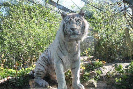 de DierenPark Amersfoort
