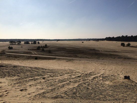 het Hulshorsterzand