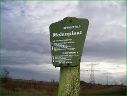 de Molenplaat