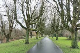 Park Oosterhout