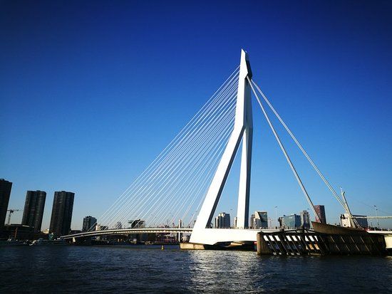 de Erasmusbrug