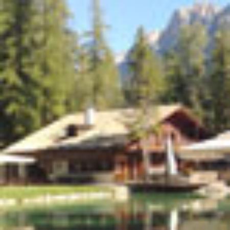 Jonge Leeuw